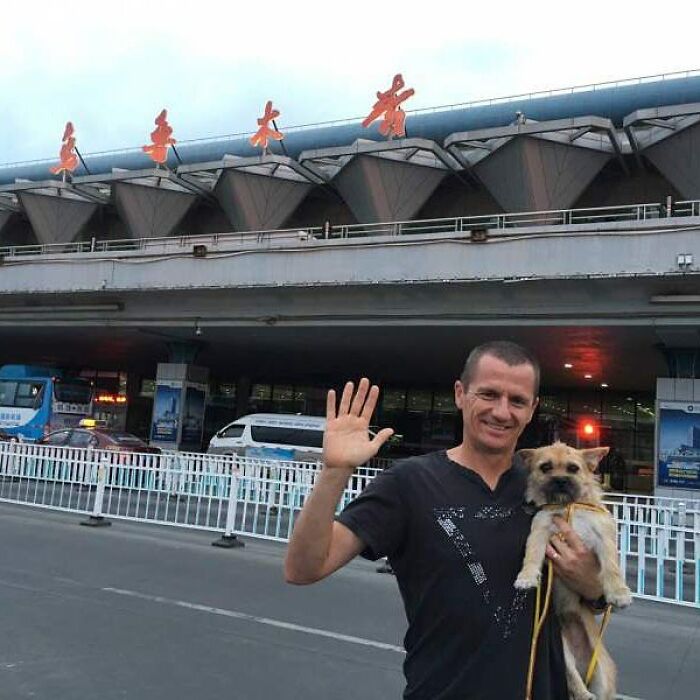 Stray Dog Runs 80 Miles With Athlete In Chinese Desert, Finds A New Home