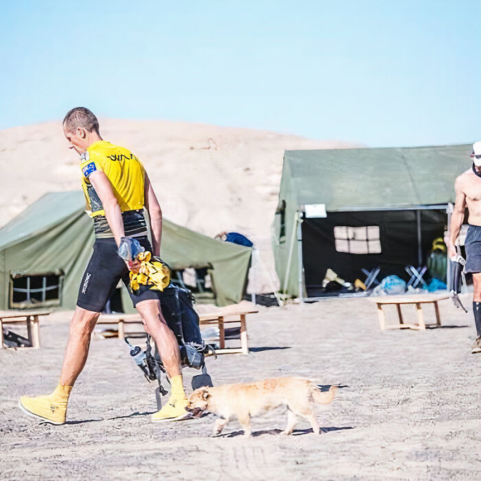 Stray Dog Runs 80 Miles With Athlete In Chinese Desert, Finds A New Home