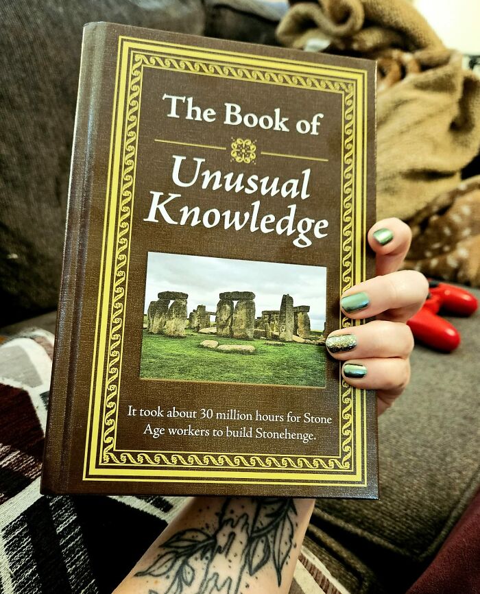 Curiosity Seekers, Rejoice! Delve Into The Weird, Wild, And Wonderful World Of Obscure Facts And Fascinating Trivia With The Book Of Unusual Knowledge 