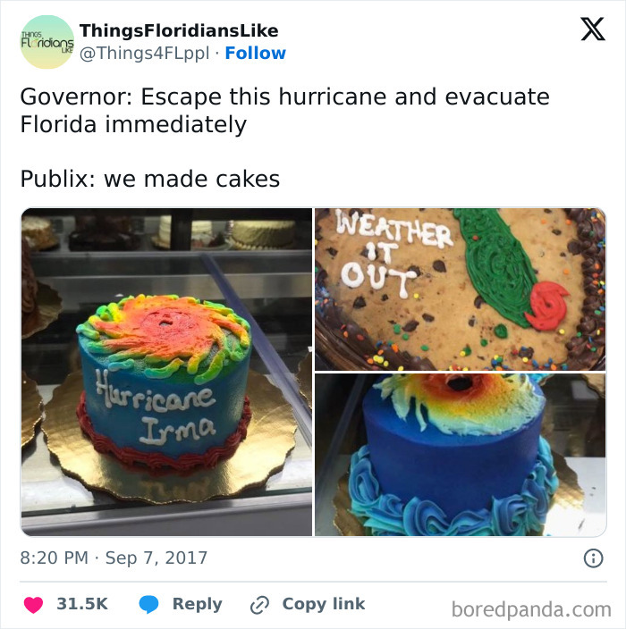 Hurricane-Themed Cakes