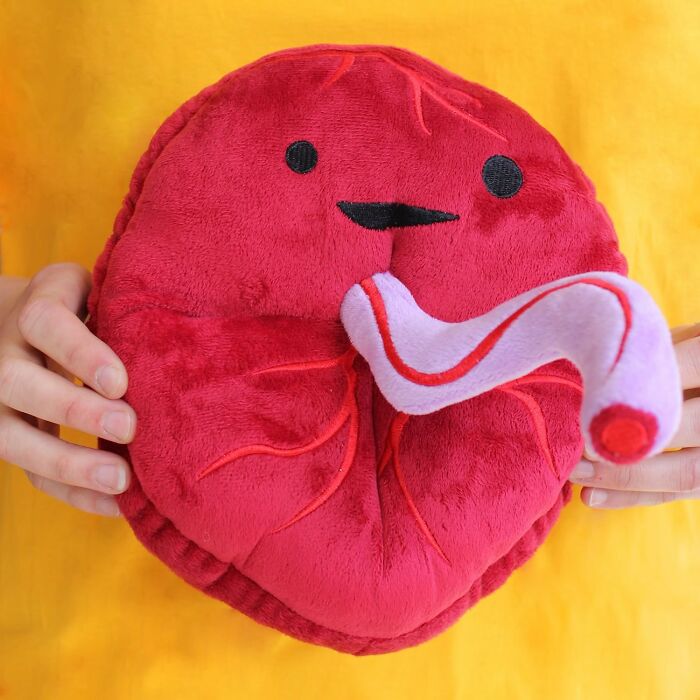 Snuggle Up With Your Baby's Former Womb-Mate Using This Disturbingly Cuddly Placenta Plush : Baby's First Roommate That Takes Sentimental Keepsakes To A Whole New Level Of Cringe