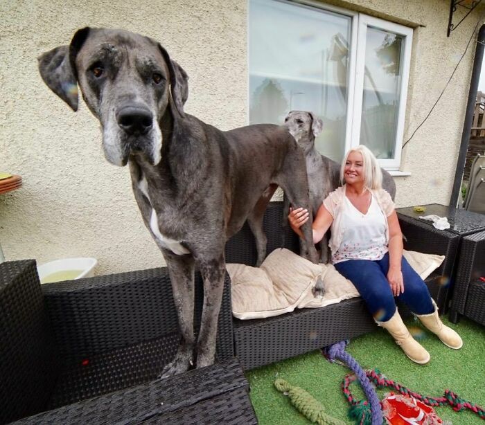 A Lovely Pic Of Mine With My Mummy And My Sister Fleur. Hello To All My New Followers 💗💗💗