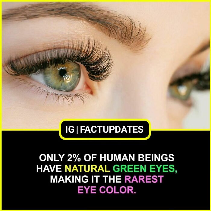 Interesting-Unknown-Random-Facts