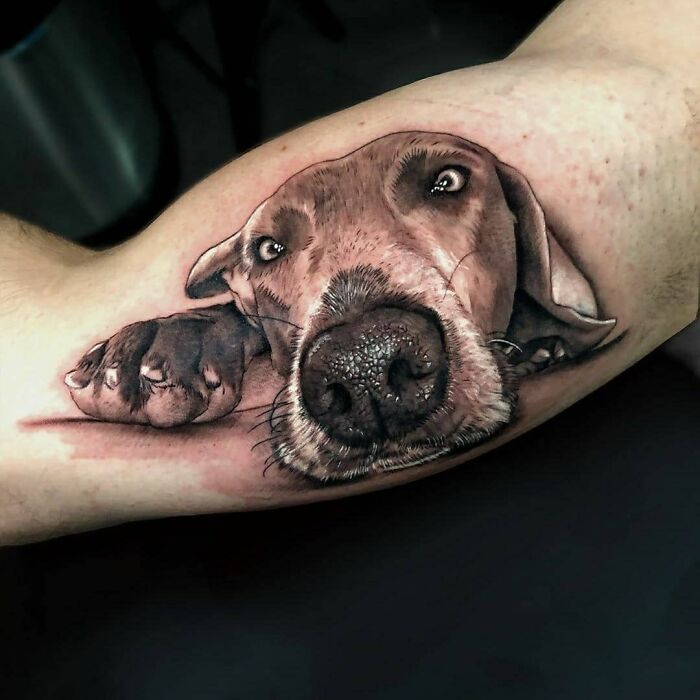 30 Breathtaking Tattoos That Required Immense Skill To Make Them As Perfect As They Came Out