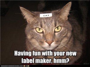 Cat-Label-Maker-67170b2c07e53.jpg