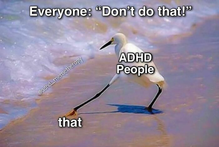 Hilarious-Adhd-Memes