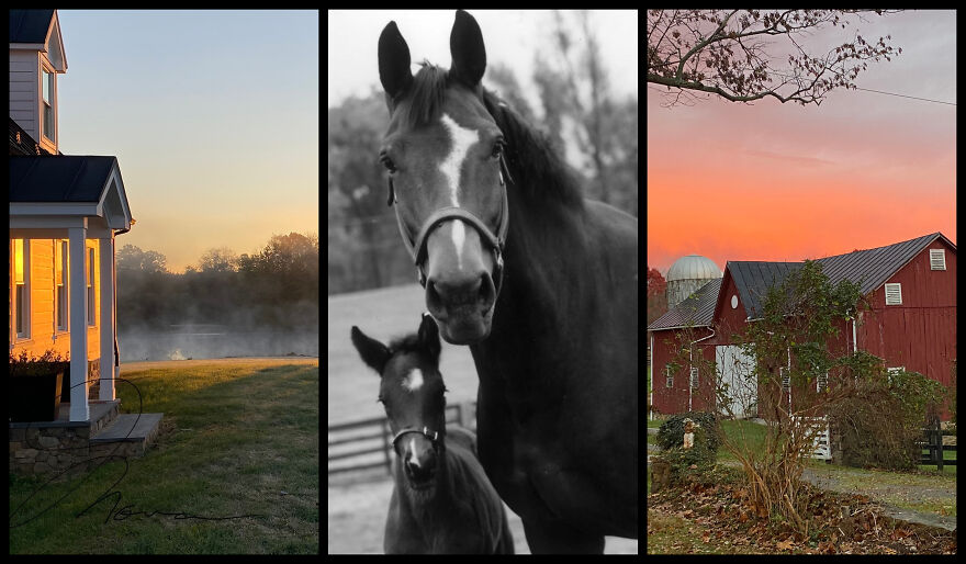 Deborah Morrow Photographs The Spirit Of The Countryside