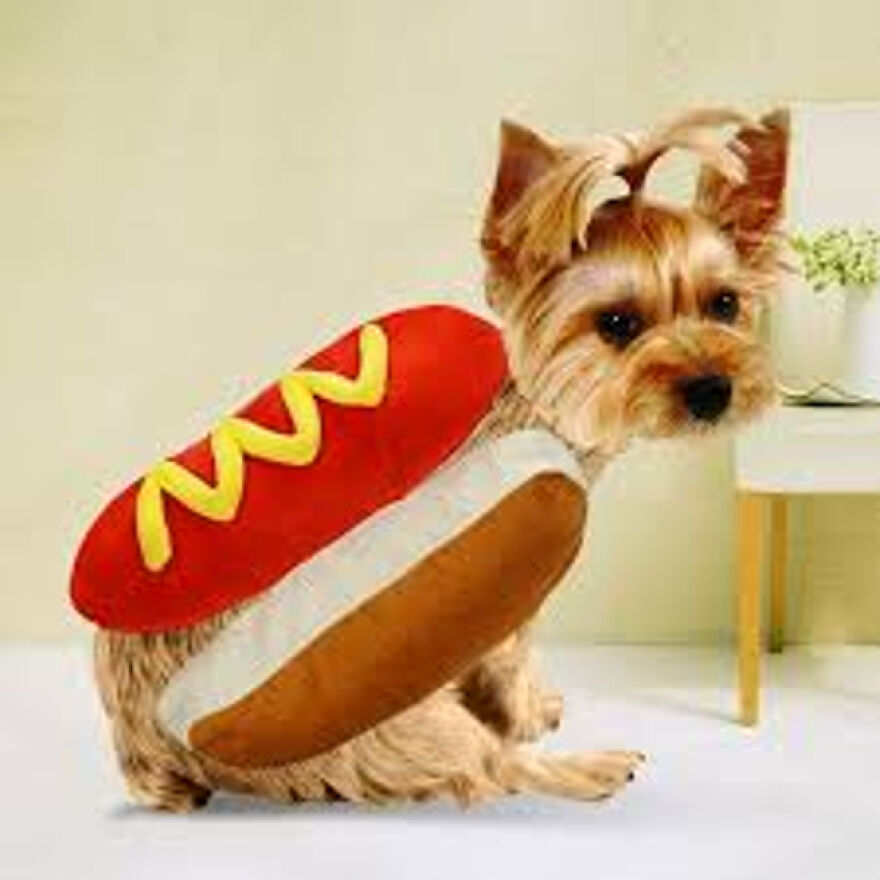 I'm A Hotdog!