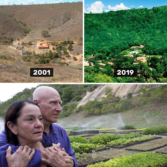 In Brazil, This Couple Planted 2 Million Trees In 18 Years True Heroes