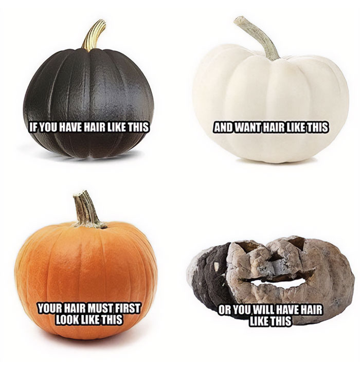 A Fall meme featuring four pumpkins representing hair dyeing advice. The text reads, "If you have hair like this (black) and want hair like this (white), your hair must first look like this (orange) or you will have hair like this (rotting pumpkin)," humorously illustrating the bleaching process.