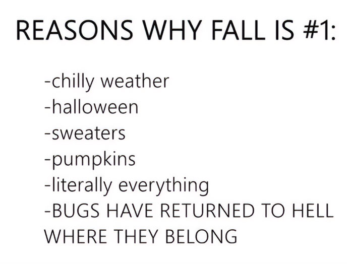  A Fall meme listing reasons why fall is the best, including chilly weather, Halloween, sweaters, pumpkins, and "BUGS HAVE RETURNED TO HELL."