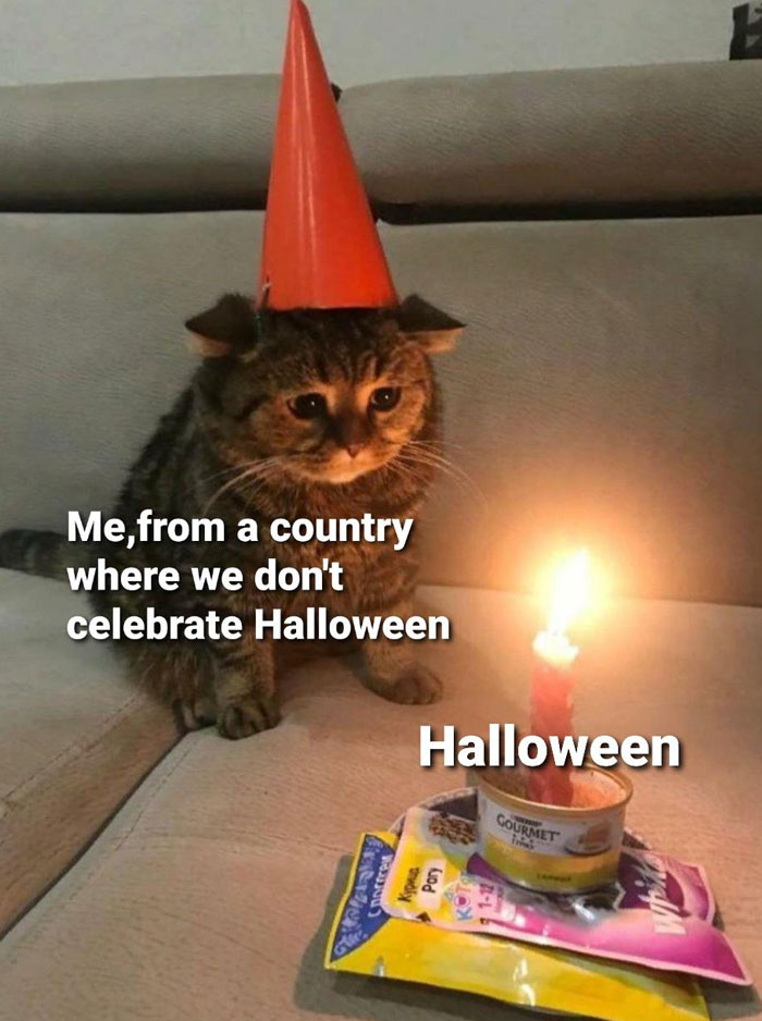 A Halloween meme featuring a sad-looking cat wearing a party hat, sitting in front of a small candle and some cat food. The text on the cat reads, "Me, from a country where we don't celebrate Halloween," and the text by the candle and food reads, "Halloween." The meme humorously portrays the feeling of missing out on Halloween festivities.