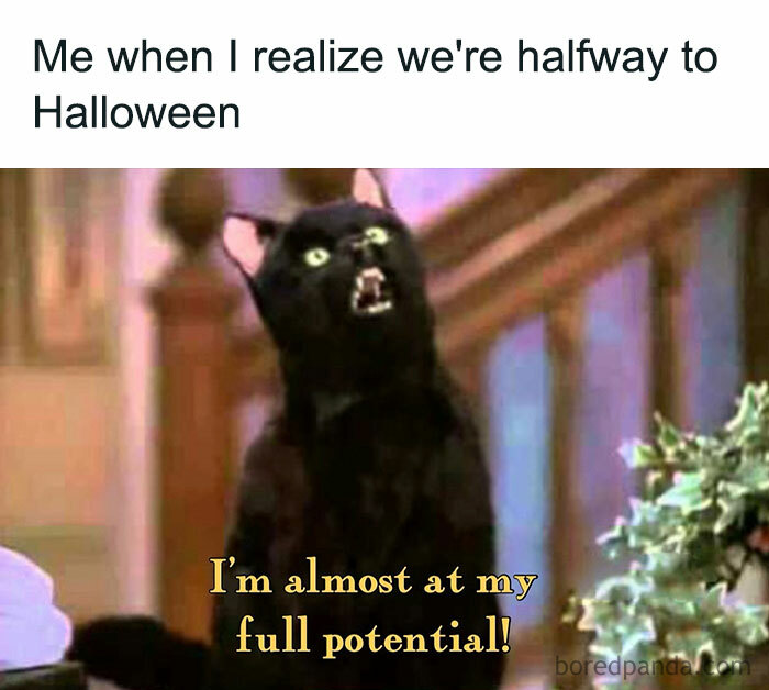 A Halloween meme featuring a black cat with its mouth open, looking surprised or excited. The caption above reads, "Me when I realize we're halfway to Halloween," and the text below the image says, "I'm almost at my full potential!" The image humorously conveys the anticipation of the Halloween season.