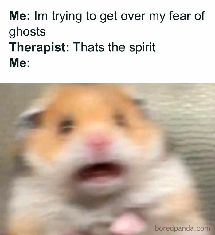 A hamster meme showing a blurry, panicked hamster. The text above reads, "Me: I'm trying to get over my fear of ghosts. Therapist: That's the spirit. Me:"