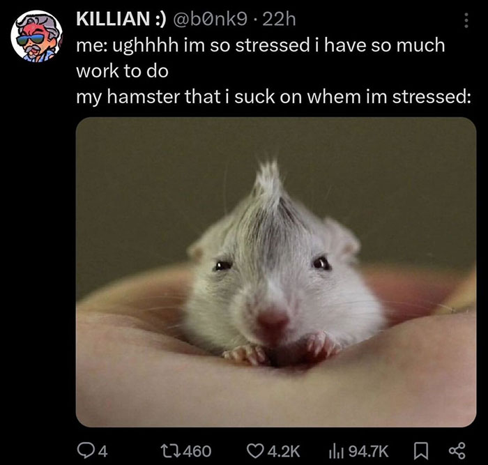 A hamster meme showing a small, sleepy hamster being held in a hand. The text above reads, "me: ughhh I'm so stressed... my hamster that I suck on when I'm stressed:"