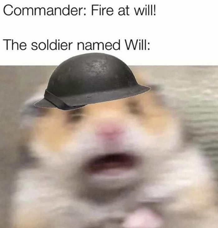 A hamster meme featuring a blurry hamster wearing a soldier's helmet. The text above reads, "Commander: Fire at will! The soldier named Will:"