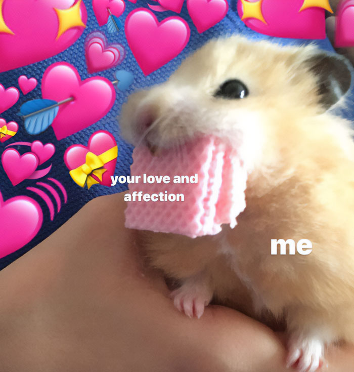 A hamster meme featuring a hamster holding a pink wafer in its mouth. The text on the image reads, "your love and affection" on the wafer and "me" on the hamster. The background is filled with pink heart emojis.