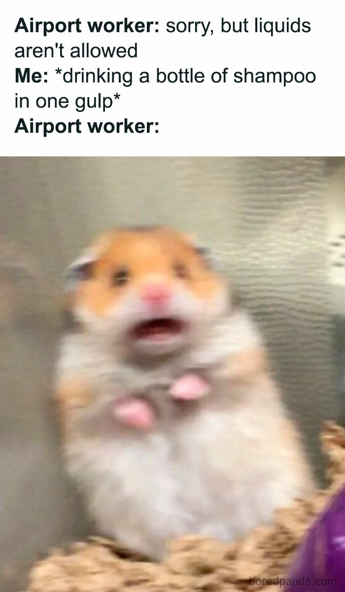 A hamster meme showing a panicked, blurry hamster. The text above reads, "Airport worker: sorry, but liquids aren't allowed. Me: drinking a bottle of shampoo in one gulp Airport worker:"