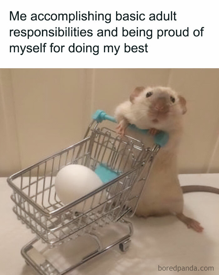 A hamster meme showing a small hamster pushing a miniature shopping cart with an egg inside. The text above reads, "Me accomplishing basic adult responsibilities and being proud of myself for doing my best."