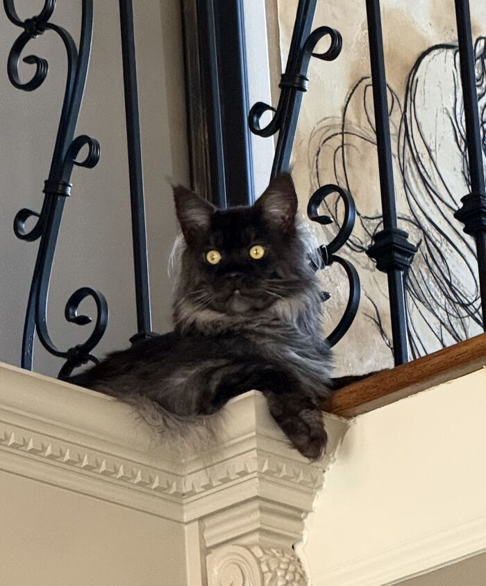 The Lord Of The Manor