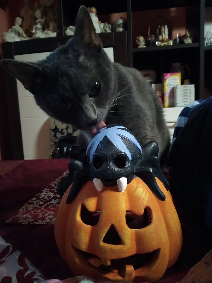 Bruno Licking Pumpkin Decoration