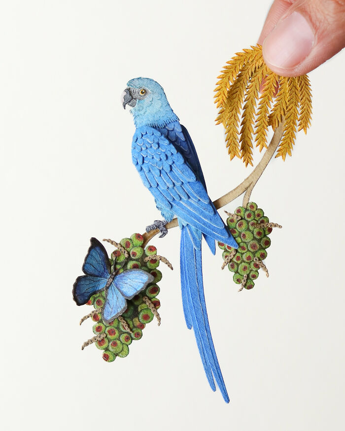 I Create Paper Art, And Here’s My Collection Of 40 Miniature Parrots ...