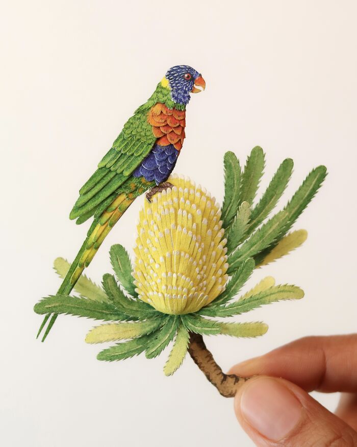 Rainbow Lorikeet