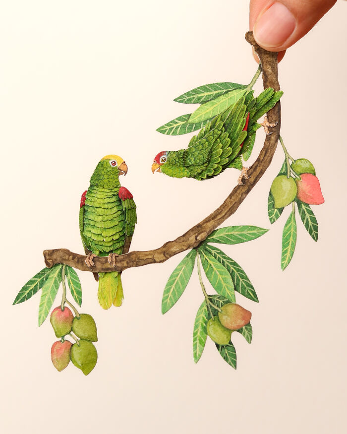 I Create Paper Art, And Here’s My Collection Of 40 Miniature Parrots ...