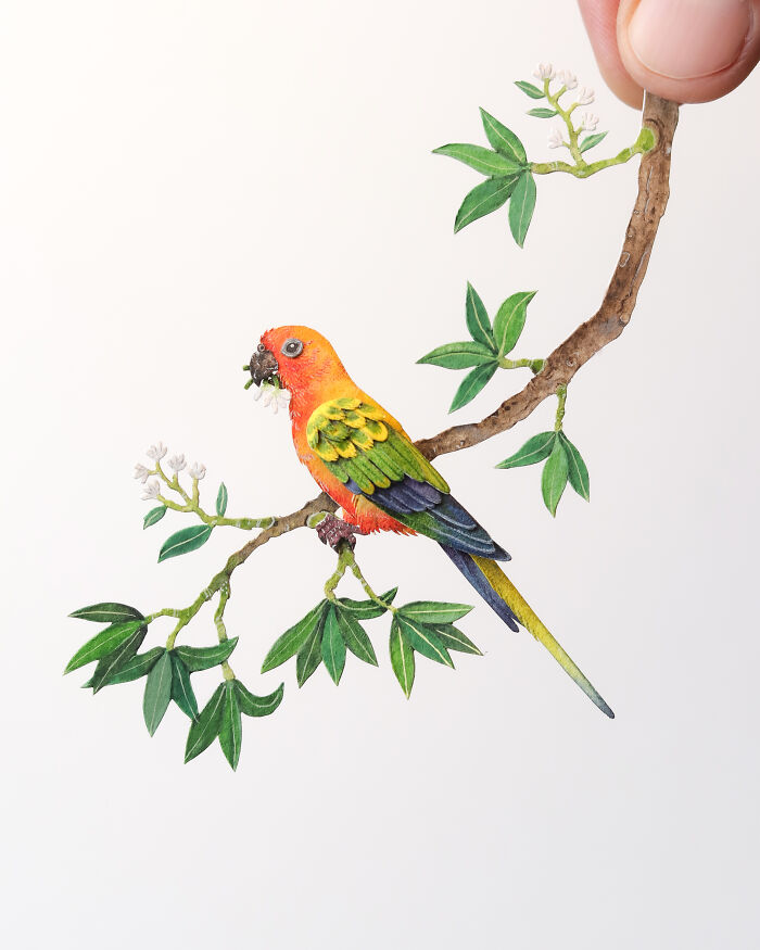 I Create Paper Art, And Here’s My Collection Of 40 Miniature Parrots ...