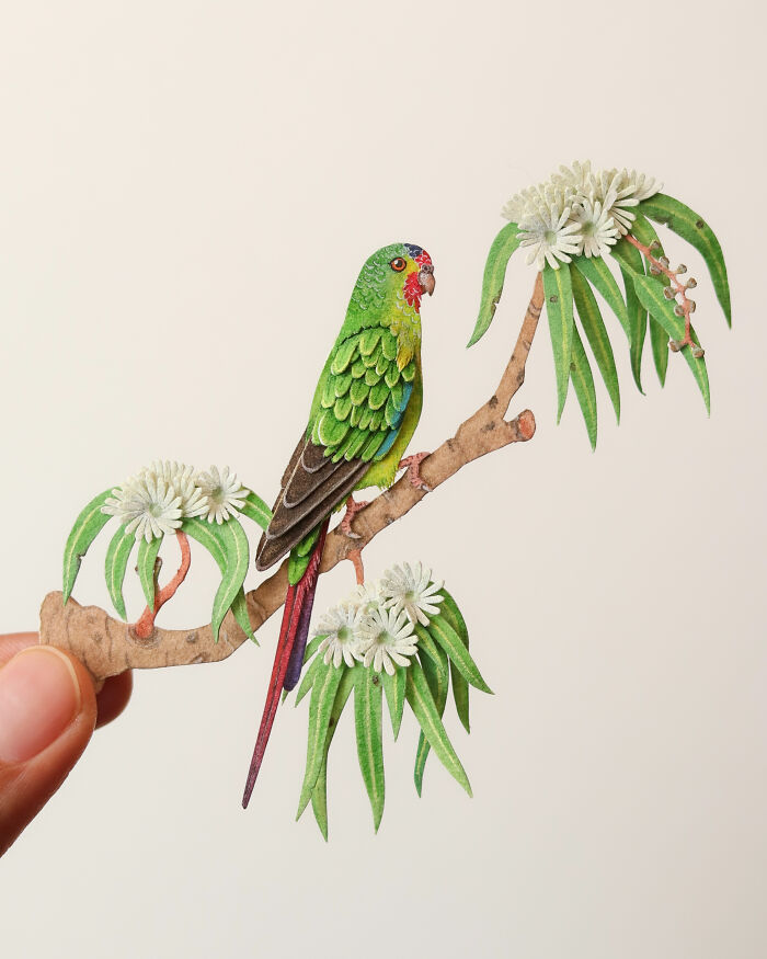 I Create Paper Art, And Here’s My Collection Of 40 Miniature Parrots ...