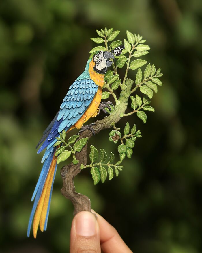 Blue And Yellow Macaw