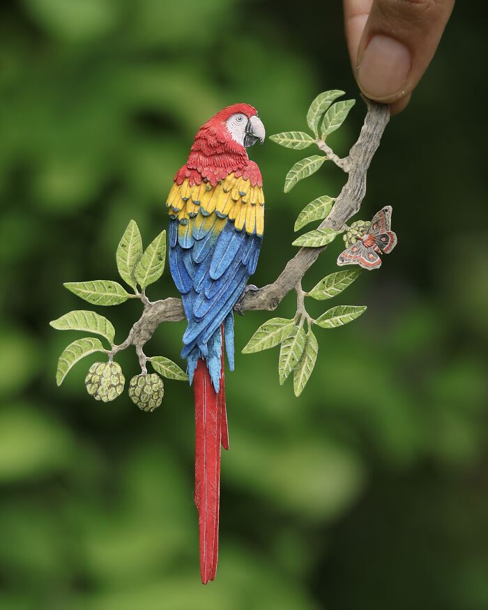 I Create Paper Art, And Here’s My Collection Of 40 Miniature Parrots ...