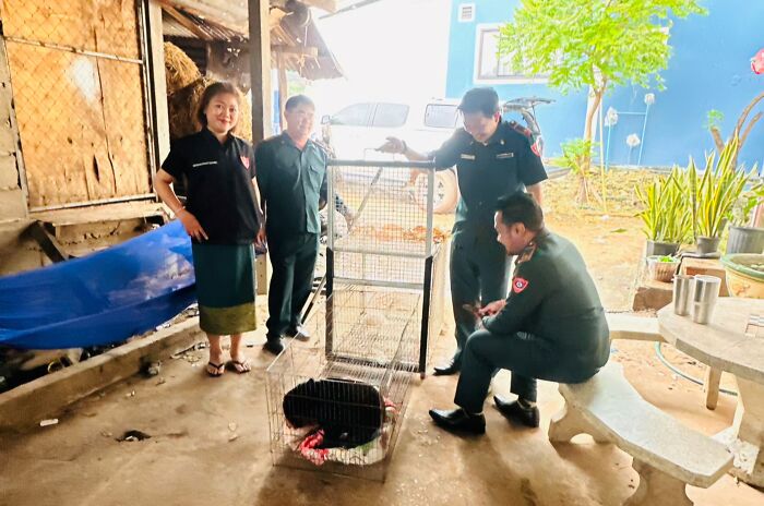 Against All Odds: How Our Team Saved Two Bear Cubs On A Mission Across Laos