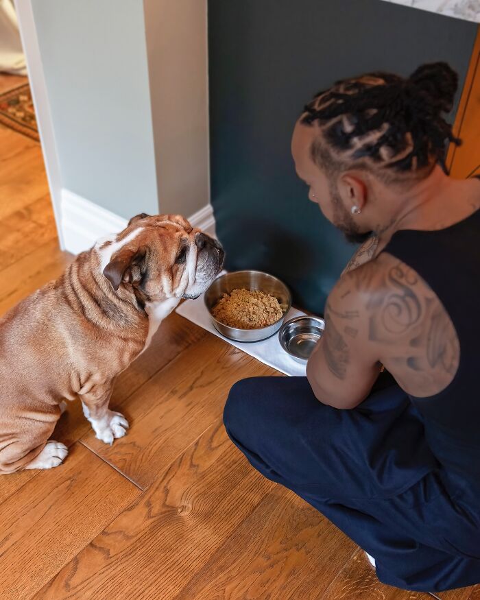 Lewis Hamilton Slammed For Putting Dog On Plant-Based Diet: “Put A Steak In Front Of Him”