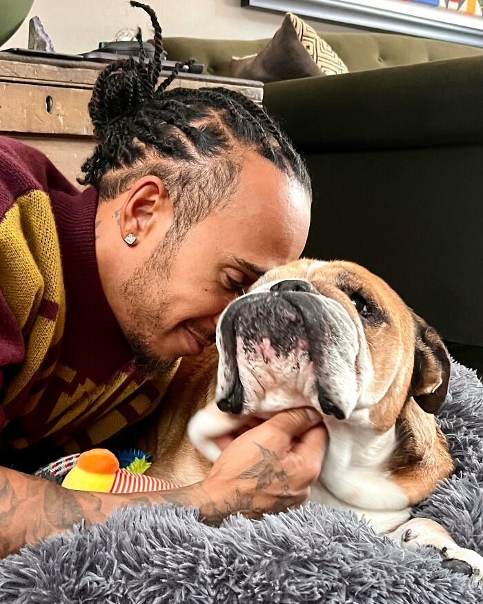 Lewis Hamilton Slammed For Putting Dog On Plant-Based Diet: “Put A Steak In Front Of Him”