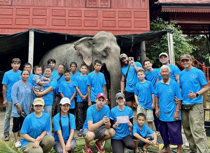 Mare Noi, An Elephant That Endured Cruelty For 41 Years, Is Finally Free Of Her Chains