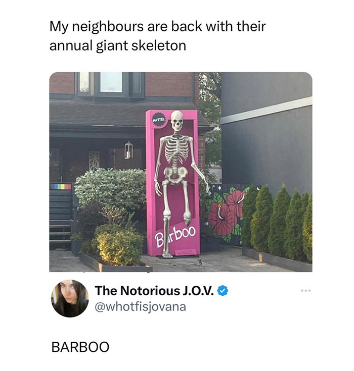  An October meme featuring a giant skeleton displayed in a pink "Barbie" box labeled "Barboo." Text above reads, "My neighbours are back with their annual giant skeleton."