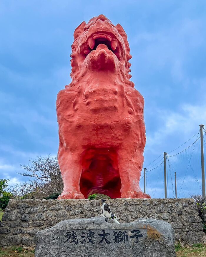 Owner Takes His 2 Cats On His Travels Around Japan And Their Instagram Is Purrfect (New Pics)