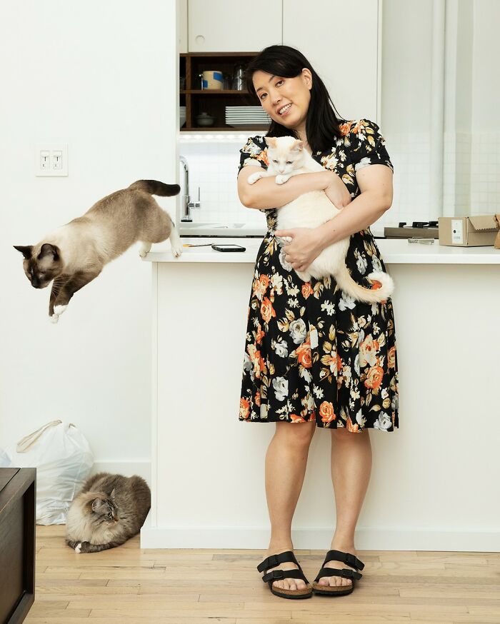 Pawsitive Connections: Celebrating Cats And Their Human Hearts (New Pics)