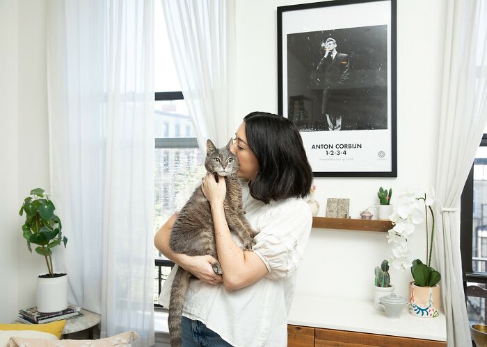 Pawsitive Connections: Celebrating Cats And Their Human Hearts (New Pics)