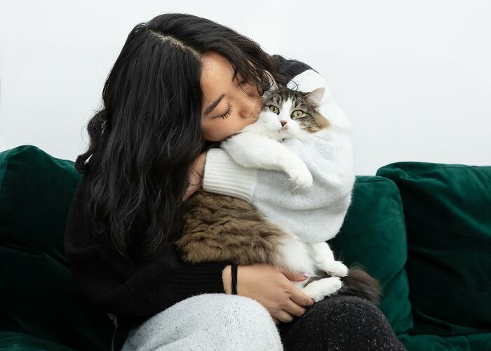 Pawsitive Connections: Celebrating Cats And Their Human Hearts (New Pics)