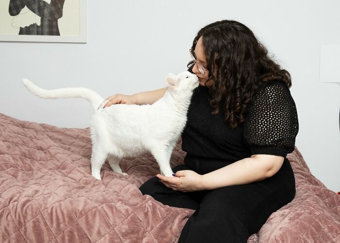 Pawsitive Connections: Celebrating Cats And Their Human Hearts (New Pics)