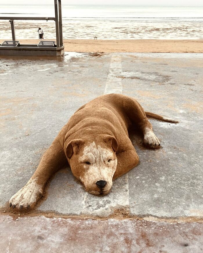 Realistic Sand Sculptures By Andoni Bastarrika