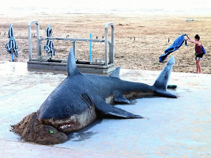 Realistic Sand Sculptures By Andoni Bastarrika