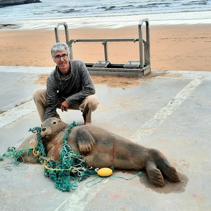 Realistic Sand Sculptures By Andoni Bastarrika