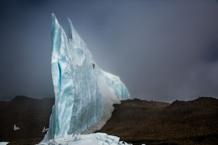 Sports In Action, Honorable Mention: Shark Fin By Christian Pondella