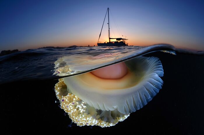 La belleza de la naturaleza, mención honorífica: Atardecer Mediterráneo, de Julio Martínez