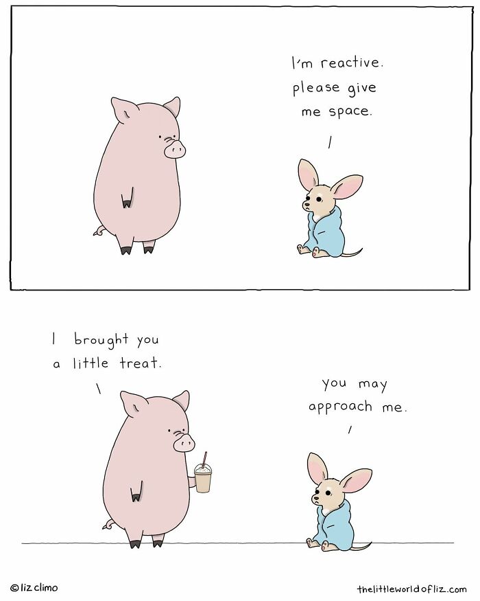 The Whimsical World Of Liz Climo: Where Animals Speak And Positivity Reigns (New Pics)