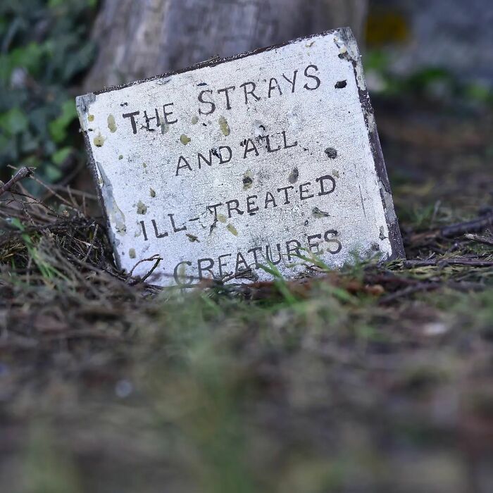 This Instagram Account Shows Us What Pet Cemeteries Tell Us About Human Emotions (23 Pics)