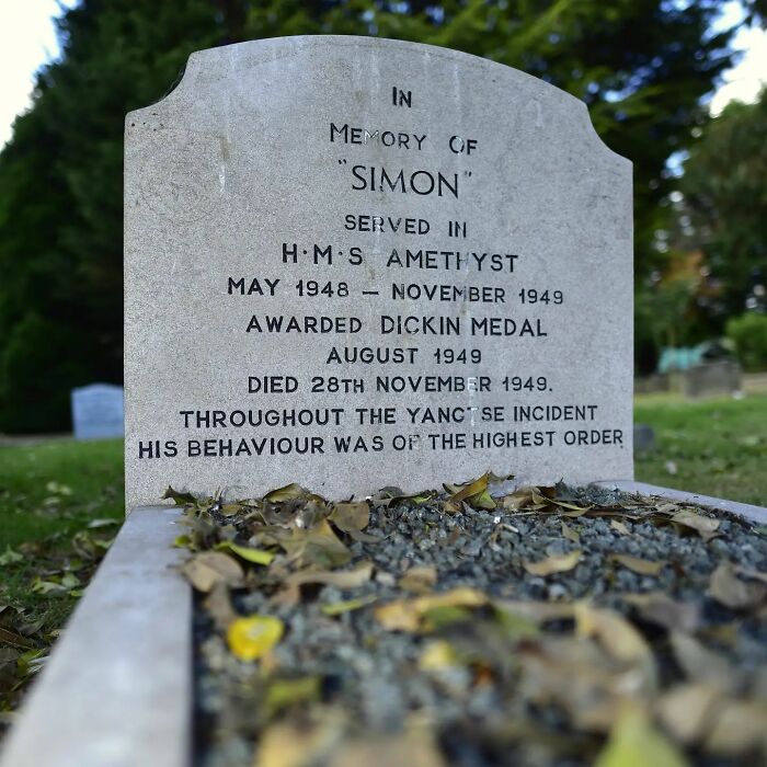 This Instagram Account Shows Us What Pet Cemeteries Tell Us About Human Emotions (23 Pics)